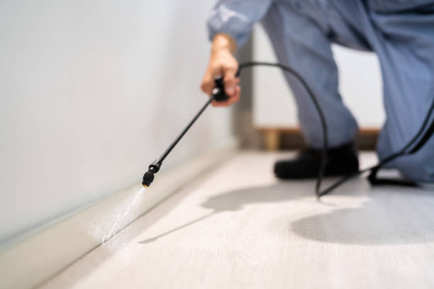 Licensed Bed Bug Control service in Anchorage, AK - Nex Pest Control