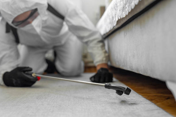 Professional Bed Bug Control technician working in Anchorage, AK