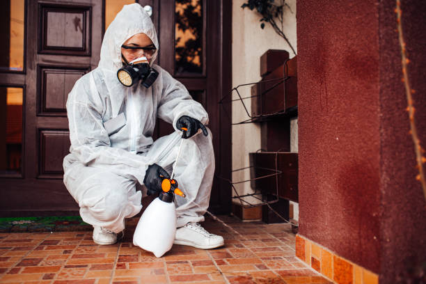 Reliable Bed Bug Control contractor in Anchorage, AK by Nex Pest Control